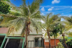 Um edifício residencial com fachada verde e branca, entrada com portão e palmeiras em primeiro plano.