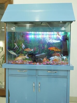 Détail de l’intérieur