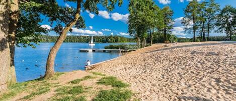 アパートメント | ビーチ