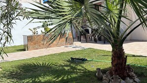 Ein gepflegter Garten mit einer Palme, einem Rasen und einer Steinmauer.