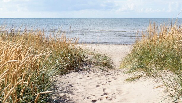 Ein sandiger Küstenpfad führt zum Meer, gesäumt von hohem Gras.
