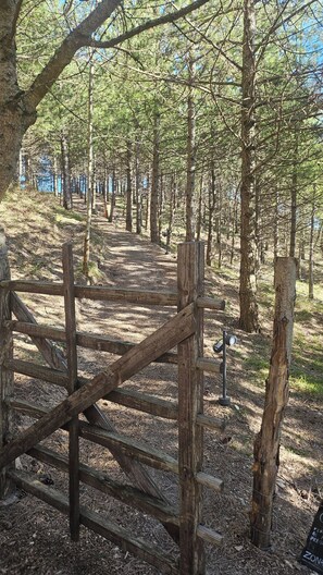 Une porte en bois, située dans une zone boisée, avec un chemin bien tracé qui la traverse.