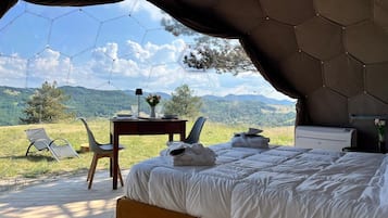 1 slaapkamer, gratis wifi