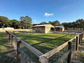 Exterior - 3 minutes from WEC! (Ocala)