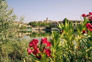 Property grounds - Villa with views of the Alpilles and Luberon mountains (Mallemort)