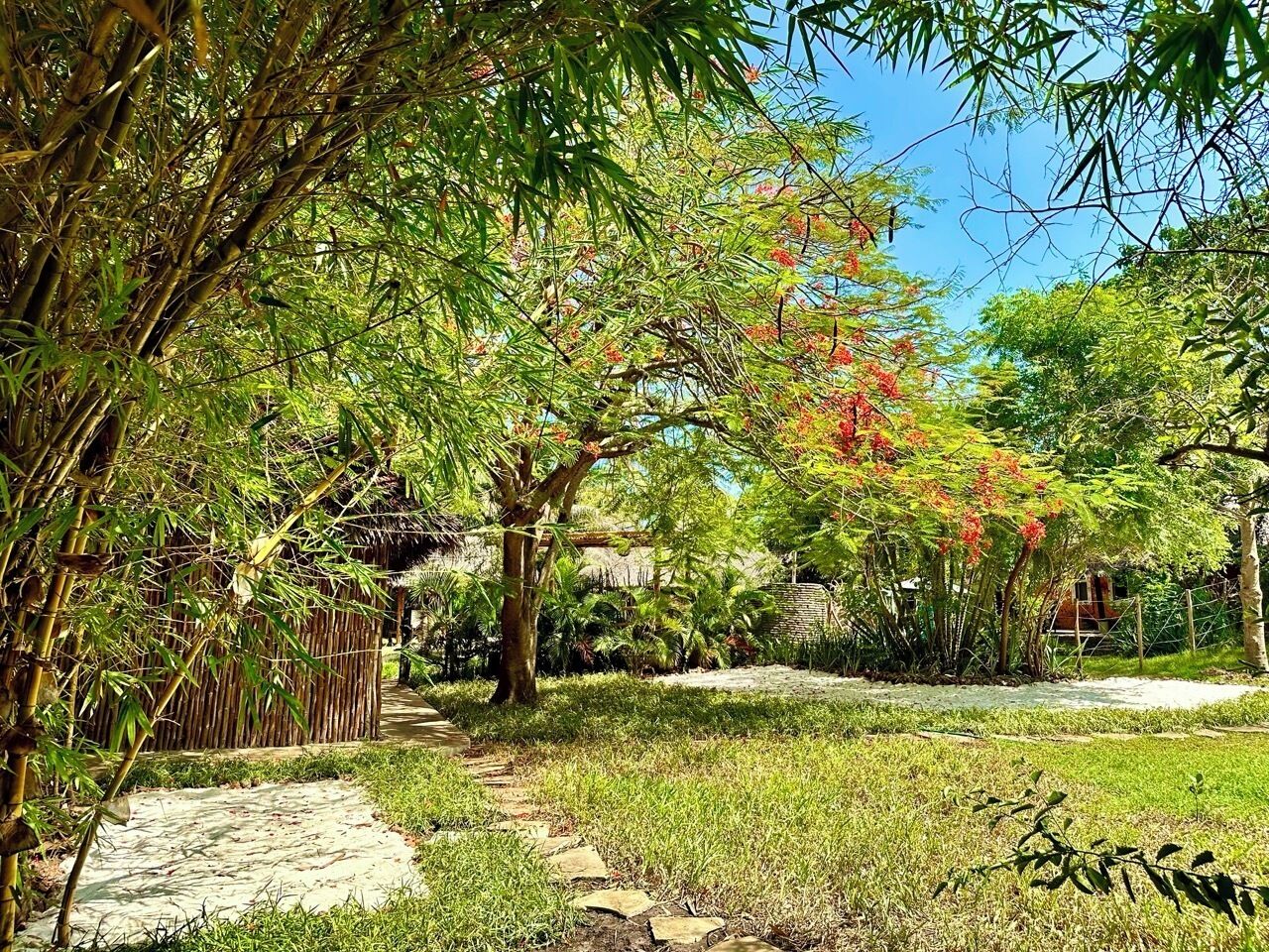 Vista al jardín