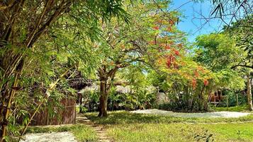 Vista al jardín