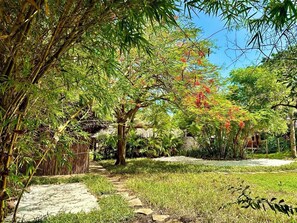 Signature Shared Dormitory, Mixed Dorm | Garden view - Staysocial Diani-Backpackers &Social Hub (Diani Beach)