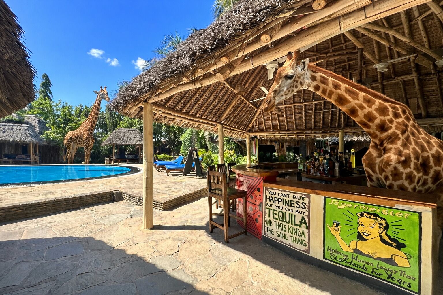 Zona de piscina con bar, estatua de jirafa y cartel que promociona tequila.