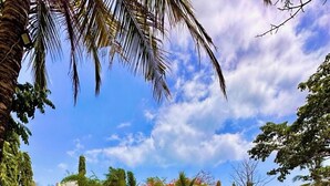 Ein grünes Areal mit Palmen, einem Gebäude mit einem Reetdach und vielfältiger anderer Vegetation.