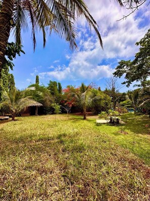 Garden - Staysocial Diani-Backpackers &Social Hub (Diani Beach)