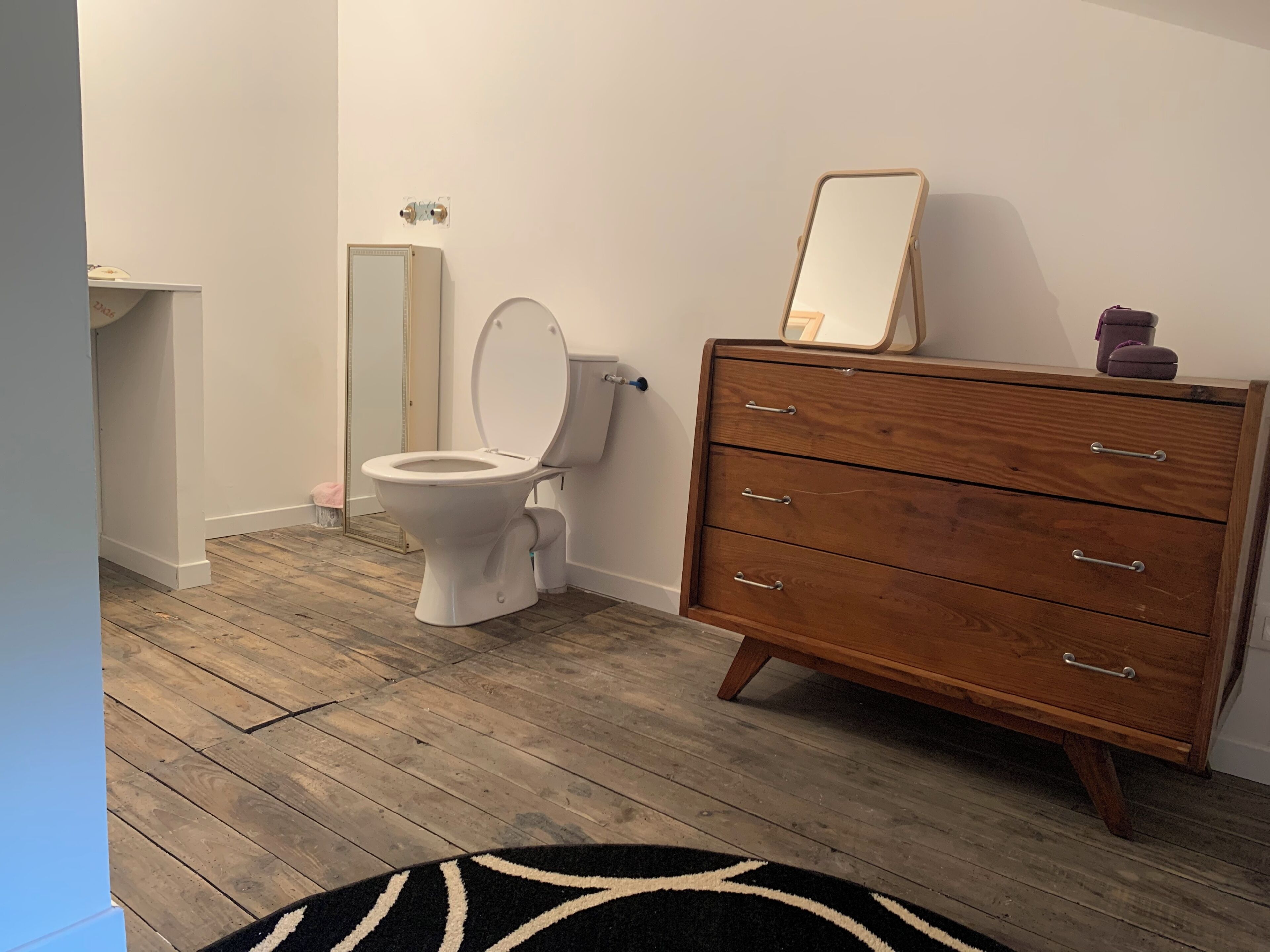 Shower, towels, toilet paper