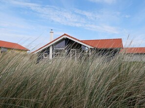 A house with a red roof, surrounded by tall grass. - 4 Star Holiday Home in Grossenbrode (Grossenbrode)