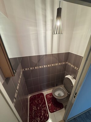 Bathroom - Comfortable apartment Villepinte RER station Vert Galant (Villepinte)