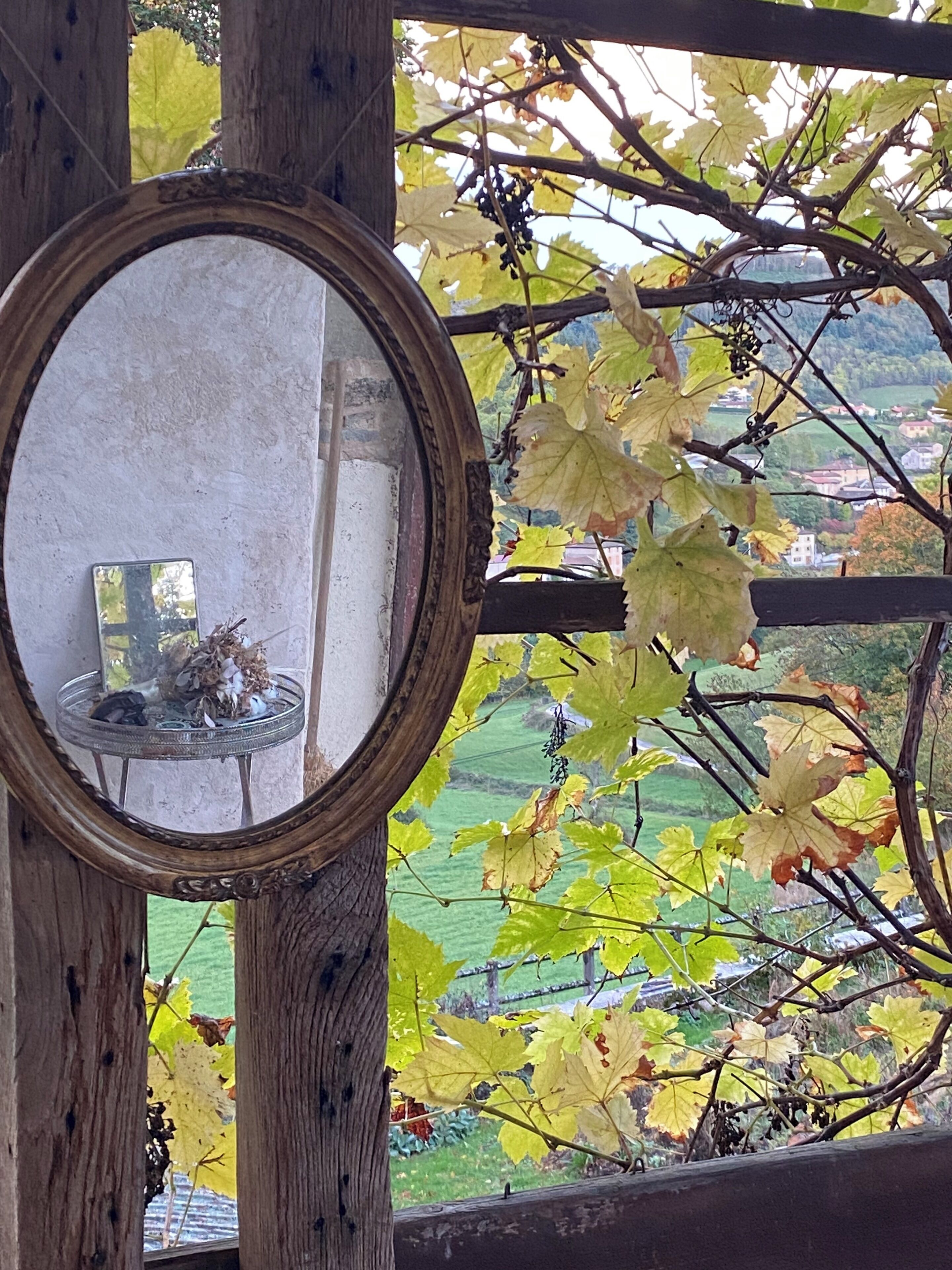 Uno specchio con cornice in legno, un tavolino con fiori secchi e vista su un vigneto attraverso una finestra.