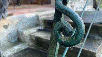 Detalle del exterior