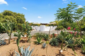 Vistas desde el alojamiento