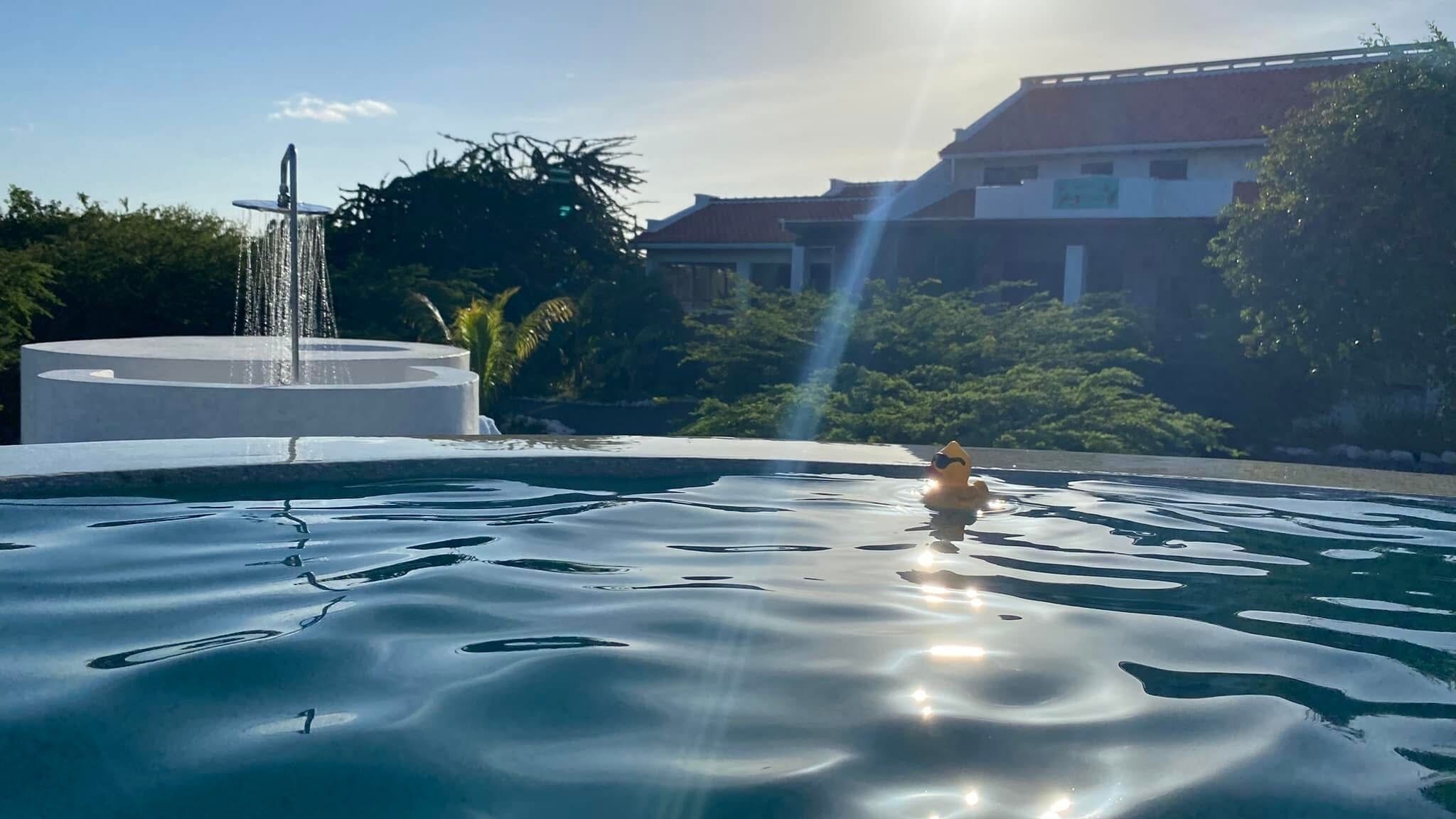 Une piscine avec une fontaine, entourée de verdure et de bâtiments.
