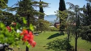 Ein Garten mit Bäumen, einer Rasenfläche und einem Gebäude im Hintergrund.