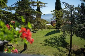Property grounds - Casale Ziarelli - Large apartment with pool and view of Assisi (Umbria)