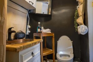 Shower, hair dryer, shampoo - Airstream | Close to DT PHX | Fully Loaded (Phoenix)