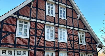 Central and quiet: freshly renovated old apartment with charm