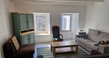 Stone house in southern Ardèche. Calm and cool in summer! Pets allowed