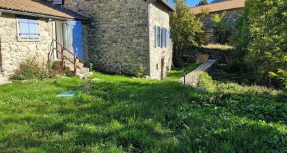 Stone house in southern Ardèche. Calm and cool in summer! Pets allowed