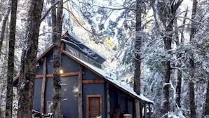 A cabin in a snowy forest with a steep roof, wooden beams, and a front door.