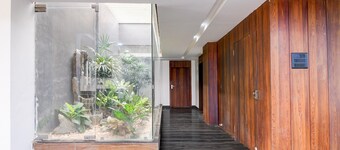 Deluxe Super Collection O Infocity Square