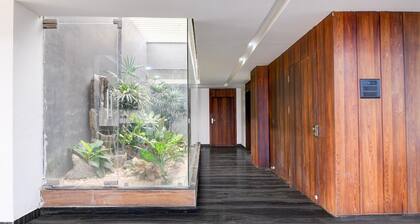 Deluxe Super Collection O Infocity Square