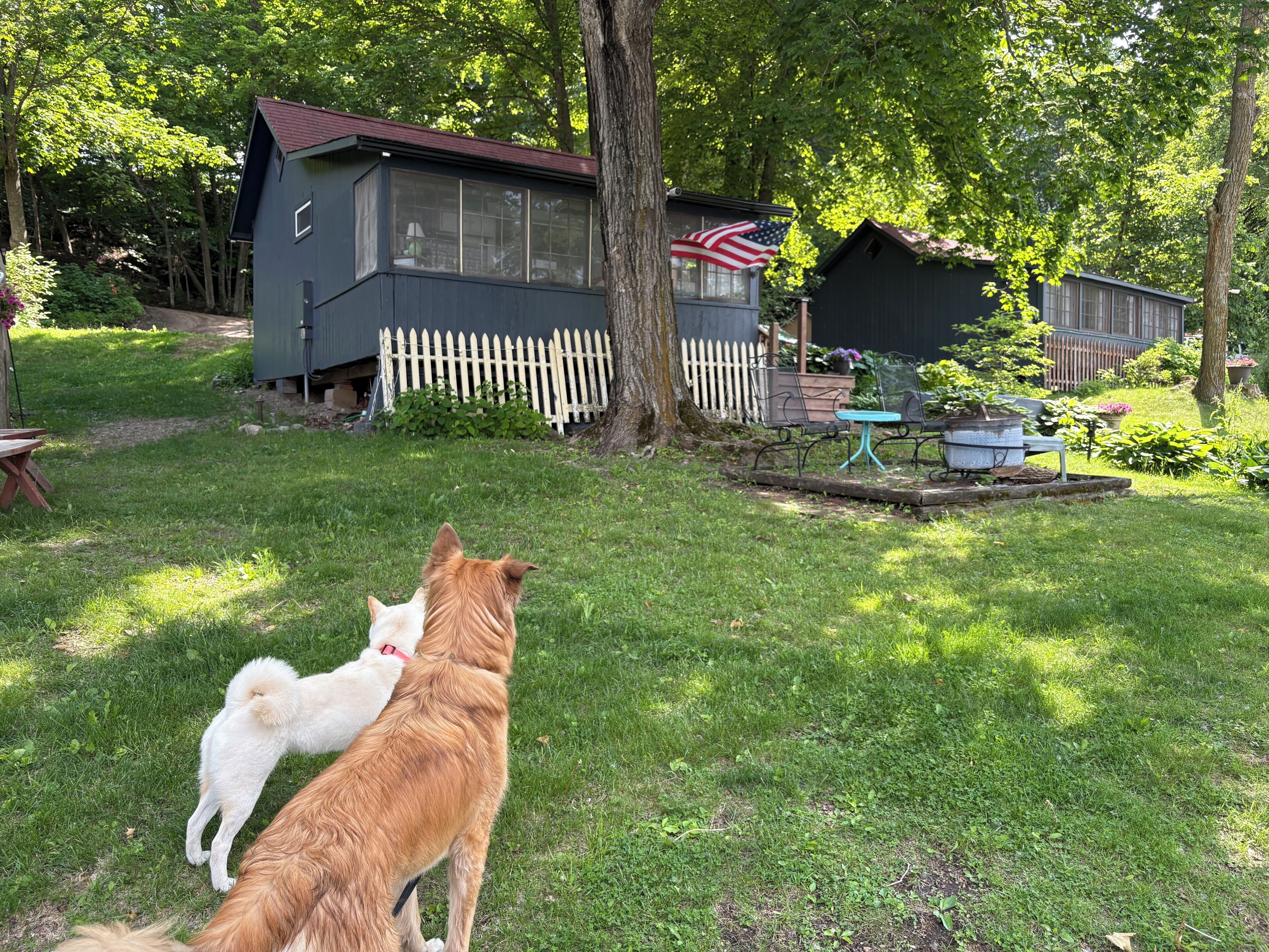 Property grounds