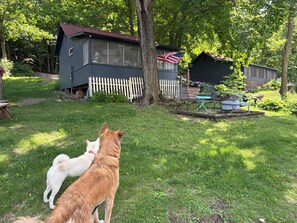 Property grounds
