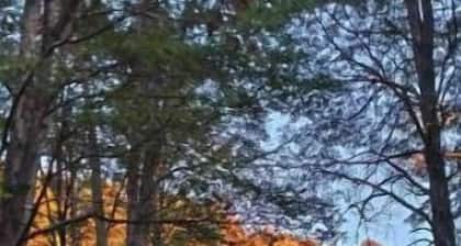 Cozy mountain hut in Las Trancas near Nevados de Chillán