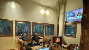 Ein gemütliches Wohnzimmer mit Kamin, großen Fenstern mit Blick auf den Wald und einem Flachbildfernseher.