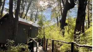 Eine Holzhütte mit einer Holzterrasse, umgeben von dichtem Wald.