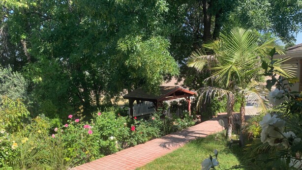 Un jardín con sendero de ladrillo, diversas plantas y un pabellón de madera.