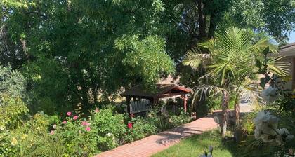 Wonderful new 1-bedroom house in delightful Los Angeles with AC high speed WiFi