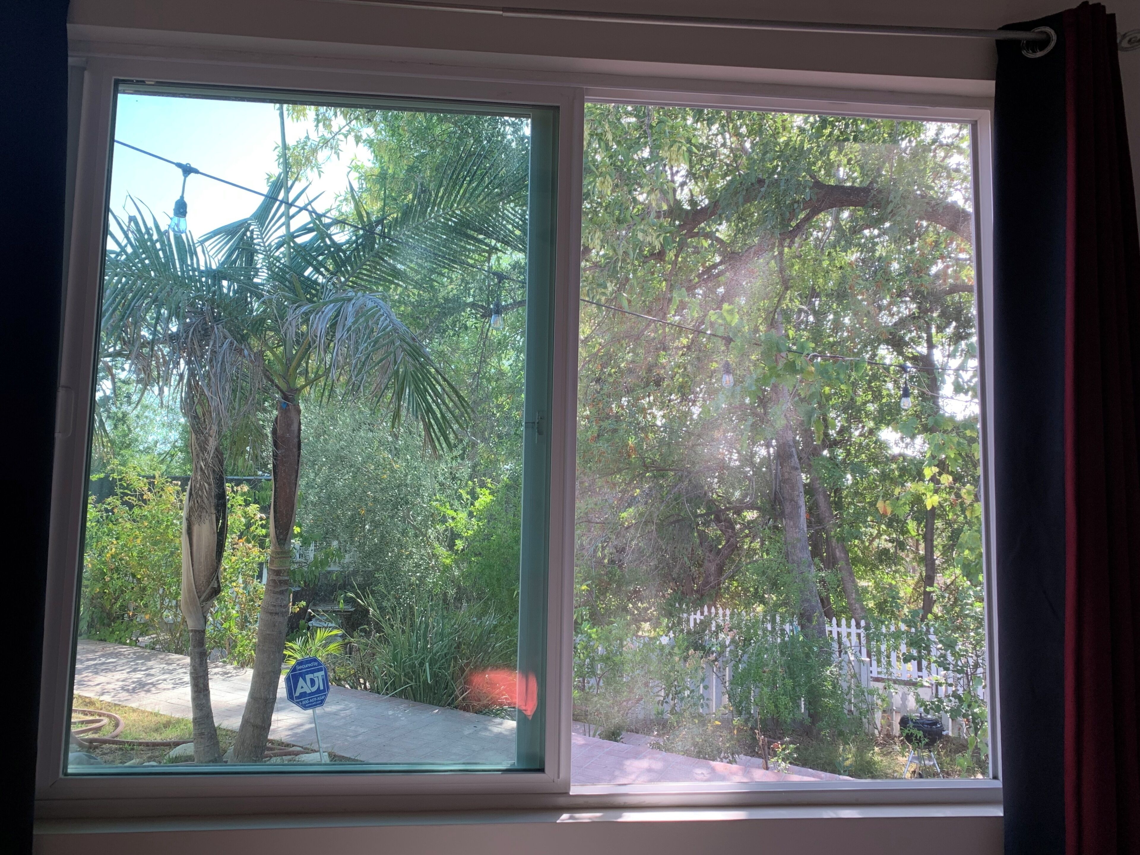 Ein Fenster mit Blick auf einen Garten, eine Palme und ein Straßenschild.