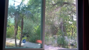 Una ventana con vista a un jardín, una palmera y una señal de tráfico.