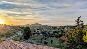 Miscellaneous - Villa Lia cozy apartment for groups and families up to 10 people  (Sacrofano)