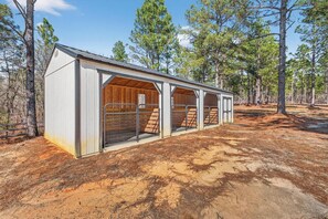 Property grounds - PRIVATE 15 Acre Equestrian Estate-HORSE ROOM AND BOARD INCLUDED (Windsor)