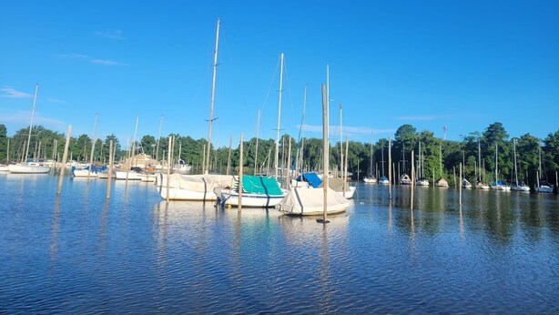 Un port de plaisance avec des bateaux amarrés, une eau calme et un ciel bleu dégagé.