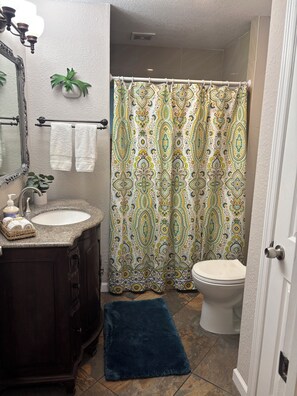 Hair dryer, towels, soap, shampoo - Amazing Private Tropical Pool, Fire Pit, 3 mins to Crystal Beach. (Palm Harbor)
