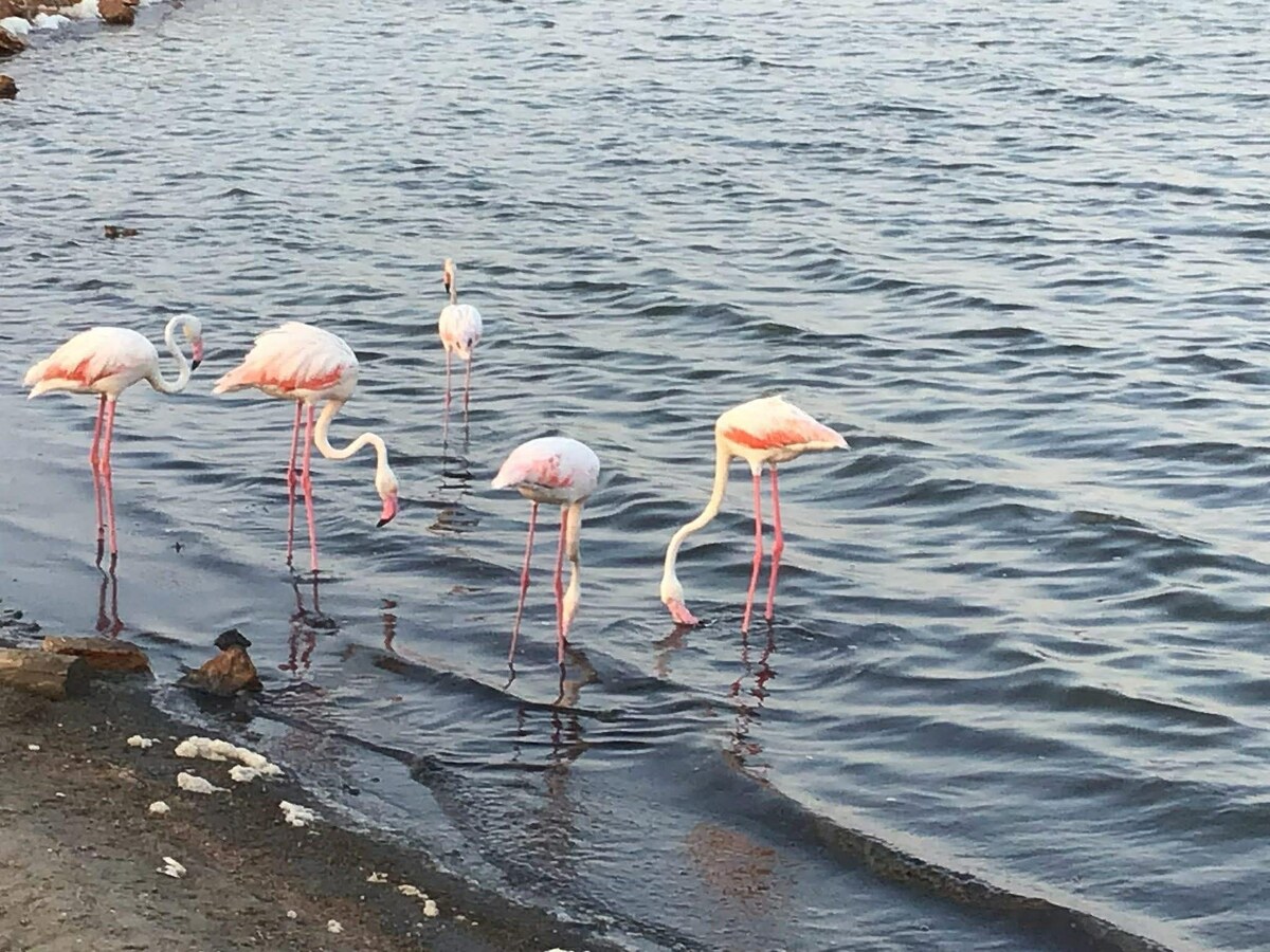 オーナーのプロフィール画像