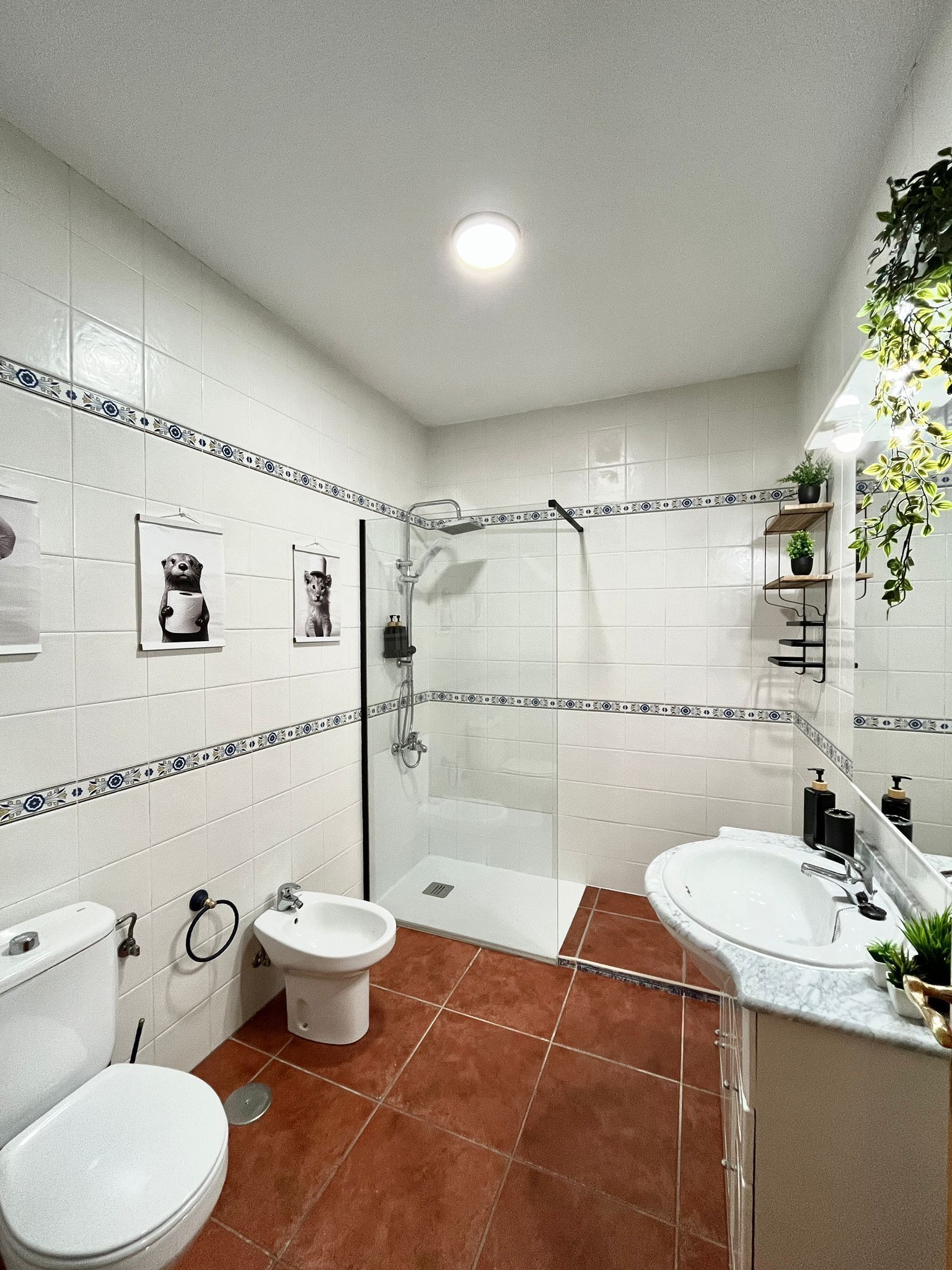 Shower, hair dryer, bidet, towels