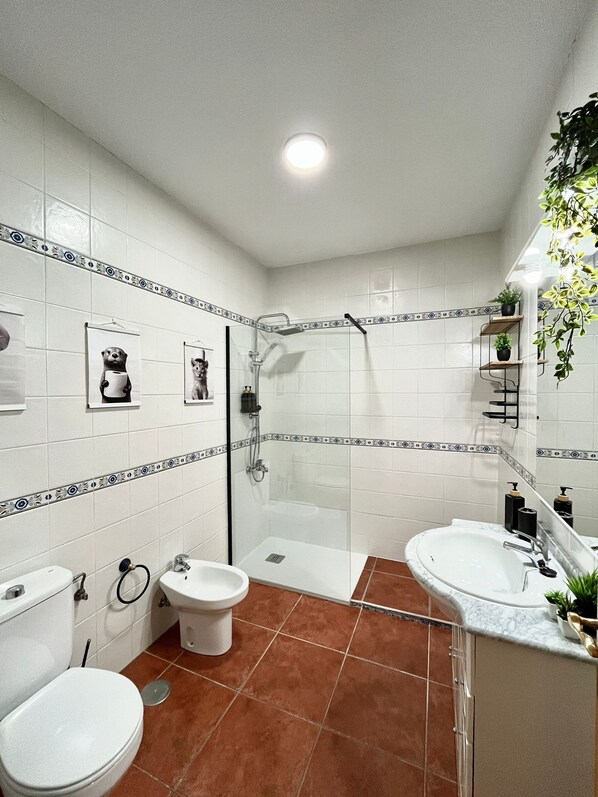 Shower, hair dryer, bidet, towels