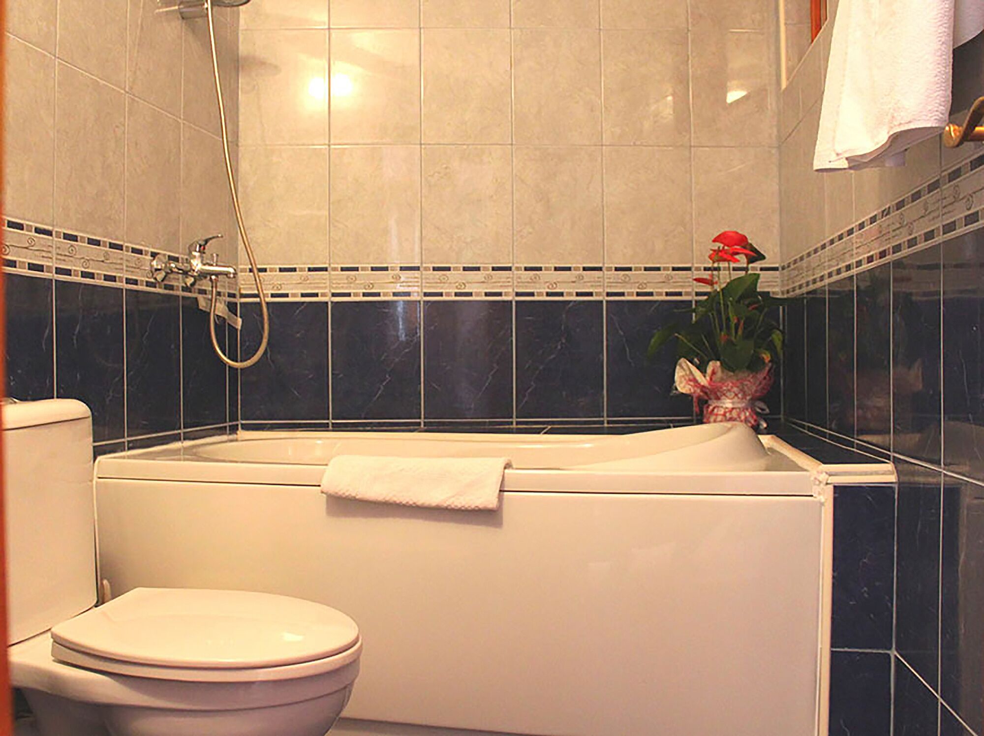Sèche-cheveux, serviettes fournies, savon, papier toilette
