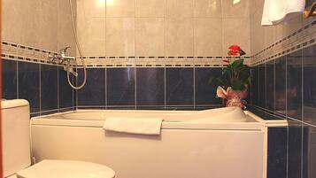 SĂšche-cheveux, serviettes fournies, savon, papier toilette