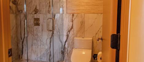 Shower, hair dryer, bidet, towels